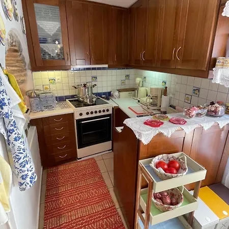 Tatil Evi Cycladic House With Aegean Sea View